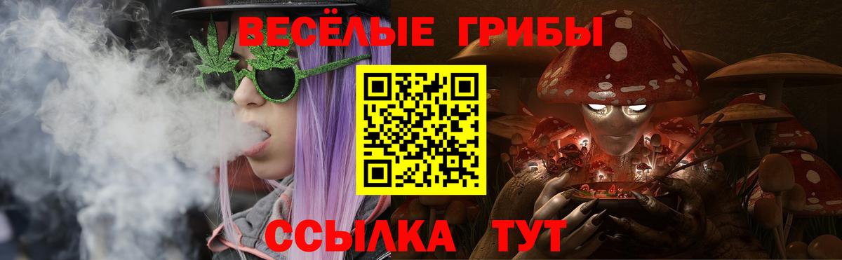 Псилоцибиновые грибы прущие грибы Вязьма